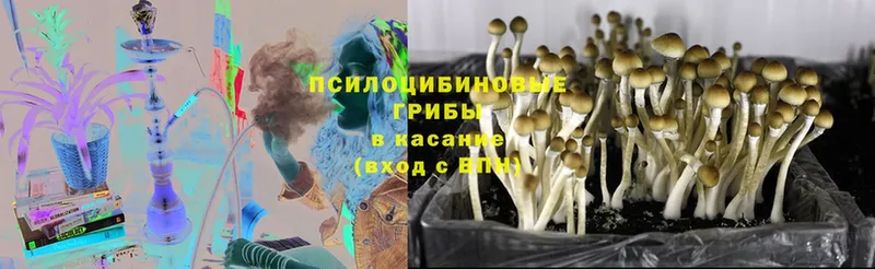 Псилоцибиновые грибы мухоморы  Кудымкар 